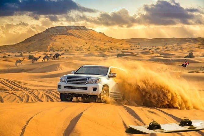 Evening Desert Safari